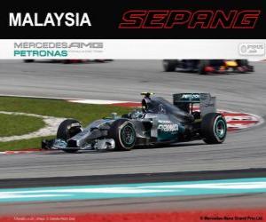 пазл Нико Росберг - Mercedes - Гран Гран-при Малайзии 2014, классифицируются